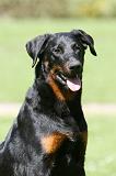 BEAUCERON 821